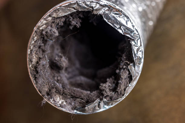 Best Home Air Vent Cleaning  in Campbell, OH